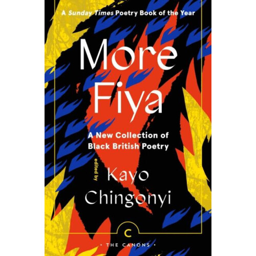 More Fiya Paperback Book