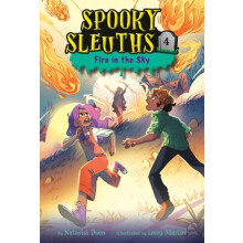 Spooky Sleuths 4 Fire in the Sky by Lissy Marlin Paperback Book