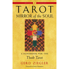 Tarot Mirror of the Soul by Gerd Ziegler Paperback Book