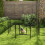 PawHut Parque para Mascota Negro 80 x 80 cm 2