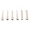 Guitar Bone Bridge Pins med 5,3 Mm Position Abanlone Dot för Utbyte Av Akustiska Gitarrdelar 1