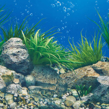 Imagen HD del papel de fondo del acuario Papel pintado de tanque de pez tridimensional 3d pegatina de tanque de pez decorativo de acuario de doble