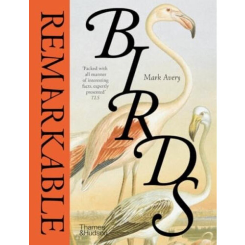 Remarkable Birds by Mark Avery Hardcover Book
