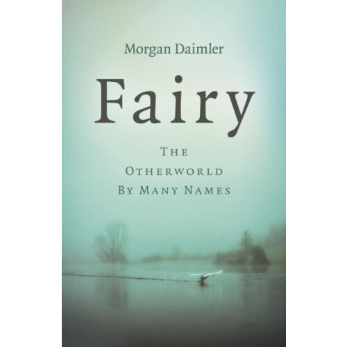 Fairy by Evelyn Elsaesser Paperback Book