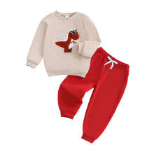 (2-3 Years, Apricot) Winteroutfit voor peuterjongens: sweatshirt met lange mouwen en dinosaurusborduur, effen joggingbroek (2-delige set)