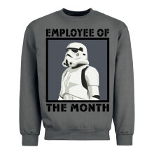 (S, Light Graphite) Star Wars Unisex Adult Employee Of The Month Sweatshirt