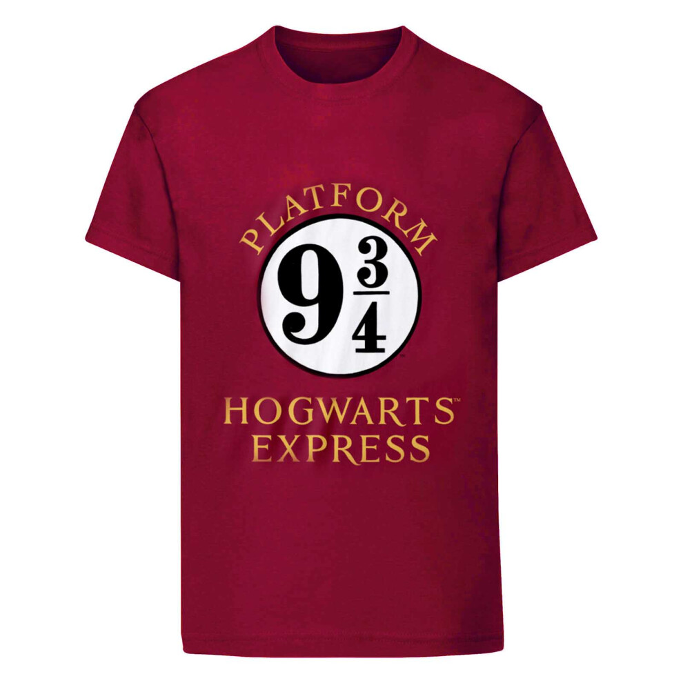 Harry Potter Womens/Ladies Hogwarts Express T-Shirt Purple