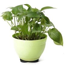 24 Stuks Bloempot Voeten Risers Natuurlijke Rubber Pot Mat Onzichtbare Bloempot Risers Pad Bloempot Voeten Zwart