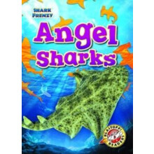 Angel Sharks by Rebecca Pettiford Hardcover Book