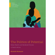 The Politics of Potential by Michelle Pentecost Paperback Book
