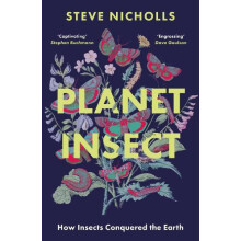 Planet Insect by Steve Nicholls Paperback Book