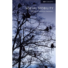 Social Mobility by Yaojun Li Paperback Book