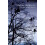 Social Mobility by Yaojun Li Paperback Book 1