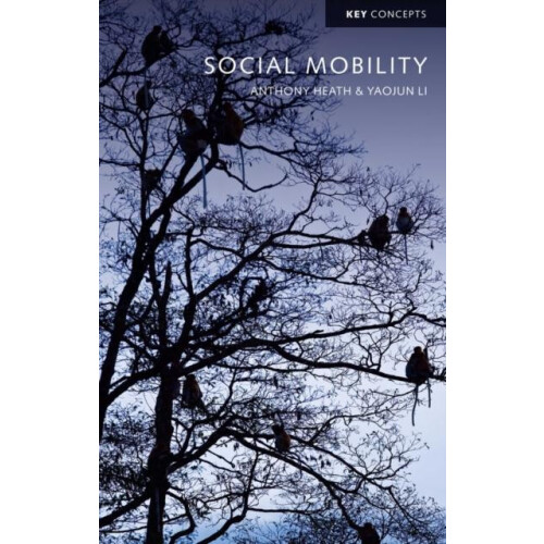 Social Mobility by Yaojun Li Paperback Book