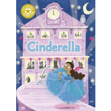 Reading Champion Cinderella by Damian Harvey Paperback Book