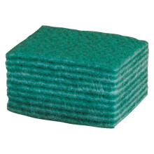 Andarta 34-029 9"x6" Scourers - Pack Of 10