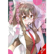 Rascal Does Not Dream of Logical Witch manga by Tsukako Akina Paperbac