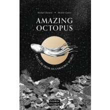 Amazing Octopus by Michael Stavaric Hardcover Book