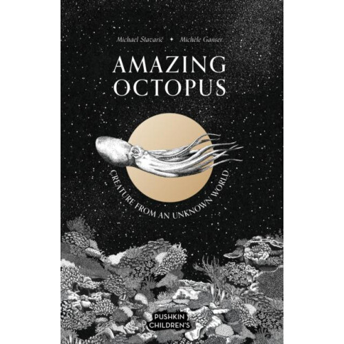 Amazing Octopus by Michael Stavaric Hardcover Book