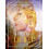 Shadow and Light Journal by Selena Moon Paperback Book 1