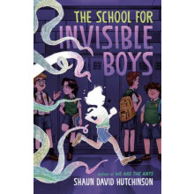 The School for Invisible Boys by Shaun David Hutchinson Hardcover Book
