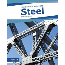 Steel by Trudy Becker Paperback Book