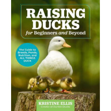 Raising Ducks for Beginners and Beyond by Kristine Ellis Paperback Boo