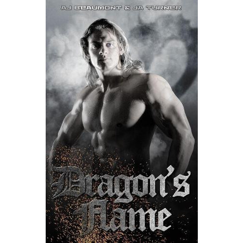 Dragons Flame by J.A. Turner Paperback Book