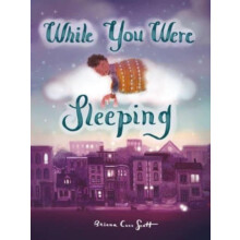 While You Were Sleeping by Briana Corr Scott Hardcover Book