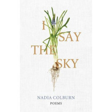 I Say the Sky by Nadia Colburn Paperback Book