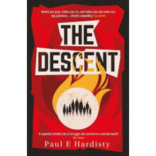 The Descent by Paul E. Hardisty Paperback Book