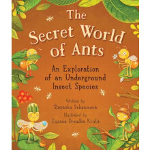 The Secret World of Ants by Stepanka Sekaninova Hardcover Book