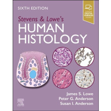 Stevens amp Lowes Human Histology by Anderson Susan I. BSc M Med Sc Ph