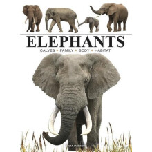 Elephants by Tom Jackson Paperback Book