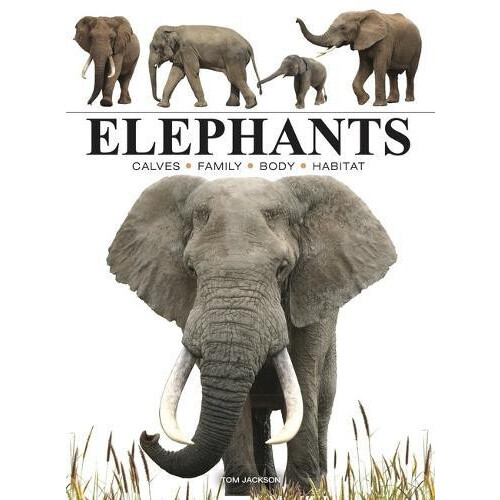 Elephants by Tom Jackson Paperback Book