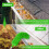 Gutter Cleaning Brush Roofing Tool with Telescopic Extendable Pole 8.2Ft Guard Cleaner Tool Easy Remove Leave, green 4