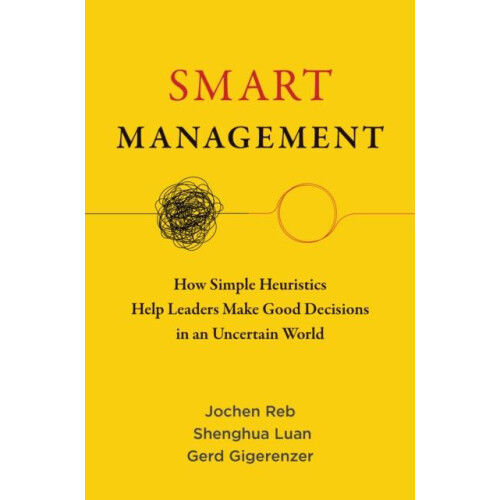Smart Management by Shenghua Luan Paperback Book