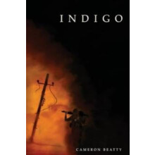 Indigo by Cameron Beatty Paperback Book