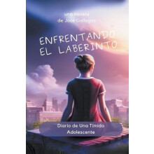 Enfrentando el Laberinto by Jose Gallegos Paperback Book