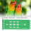 4Pcs Green Pigeon Leg Ring Stand | 4 Column Wall-Mounted Durable Plastic 3