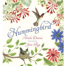 Hummingbird by Nicola Davies Paperback Book