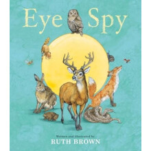 Eye Spy by Ruth Brown Paperback Book
