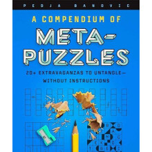 A Compendium of MetaPuzzles by Pedja Banovic Paperback Book