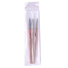15St Manicure Tekenset Rose Nail Art Tool Voor Precisie Tekenen