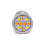2 pcs W21/5W LED bulb 7443 12-24V white-orange without error 2