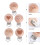 15Pièces Jouet Dentition Bébé Clip Bois Clair 6