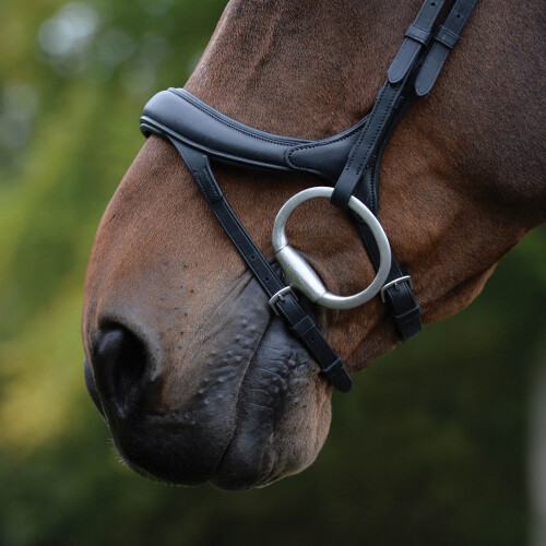 (Full, Black) Collegiate Comfitec Vogue Leather Horse Bridle 2