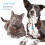 60Pcs Multi-Color Cat Collar Bells Delicate Copper Pet Collar Charms 10