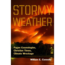 Stormy Weather by William E. Connolly Paperback Book