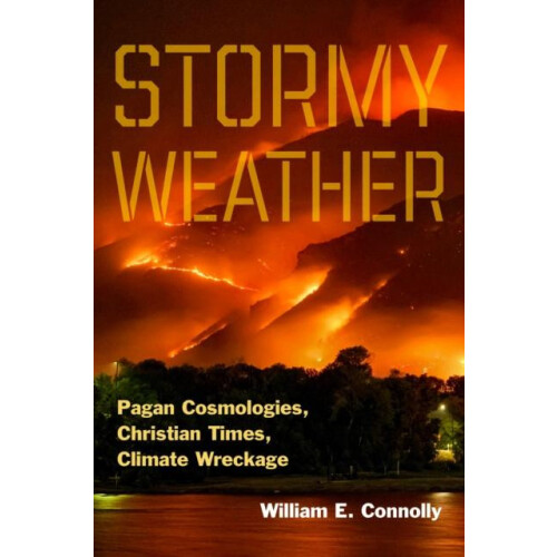 Stormy Weather by William E. Connolly Paperback Book